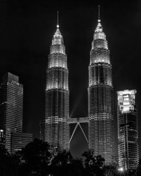 IMG_2235.jpeg