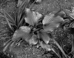 20230524-1-001-19-Planted_Evidence.jpg
