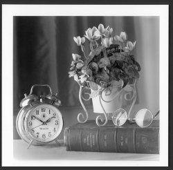 Mamiya-C220-IL-MGV.jpg