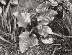 20230525-1-014-Planted_Evidence.jpg
