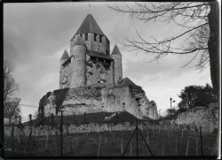 Half plate neg No. 115 Foma_small.jpg