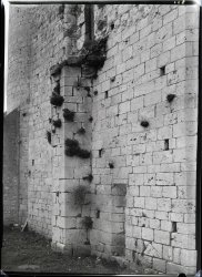 Half plate neg No. 118 Foma_small.jpg