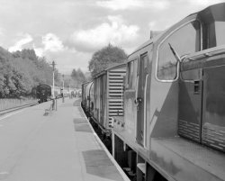 Diesel Train.jpg