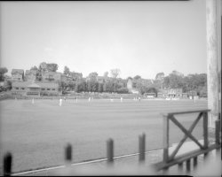 Cricket flat scan.jpg Cricket flat scan.jpg