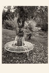 Garten ebony 4x5 1.jpg