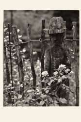 Garten ebony 4x5.jpg
