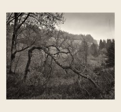 unterwegs 4x5.jpg