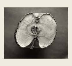 Automne d'une pomme 4x5 1.jpg