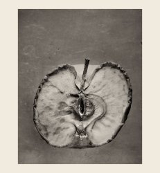 Automne d'une pomme 4x5 5.jpg