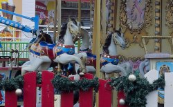 horses two (2).JPG