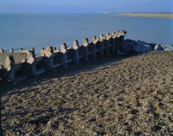 Stearman Processed00000001.JPG