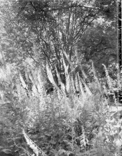 Test scan 4 [10x8].jpg