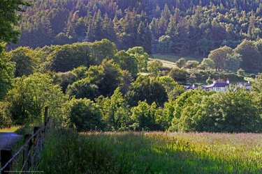 18-06-2024 - Grubb A0 on Arca Pic 03.jpg