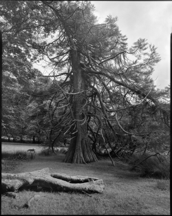 _35A1021_48Bit_g2p0001_edit.png _35A1021_48Bit_g2p0001_edit.png