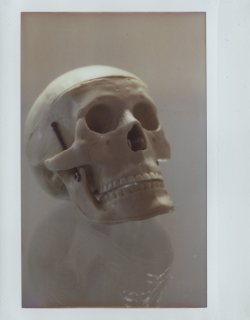 skull-3-nikon.jpg