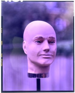 IMG_6476.jpeg