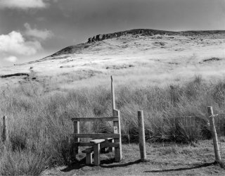 stile baysdale.jpg
