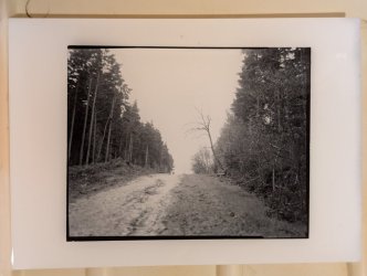 PXL_20251218_193914522.jpg