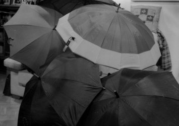 Umbrellas3.jpg