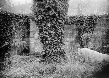 20260308_Jericho_Kentmere_VC_ID11_1-1_10_web.jpg