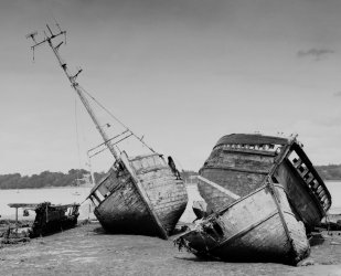 Untitled-Edit-Edit-2 +.jpg