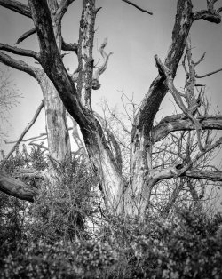 Untitled (2)-Edit.jpg