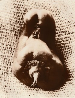 Lith print, Moersch SE5, Kodabrome II RC F3, 3.jpg