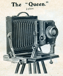 queen_image1.gif
