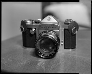 20260619_Heliar-150mm_Fomapan100_ID-11_1-1.jpg
