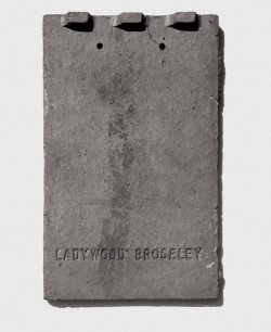 ladywood1.jpg ladywood1.jpg