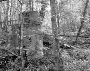 ladywood19.jpg