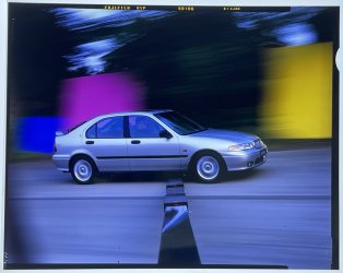 IMG_8231.jpeg